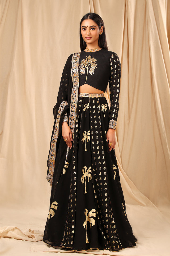 Black Coco Lehenga Set