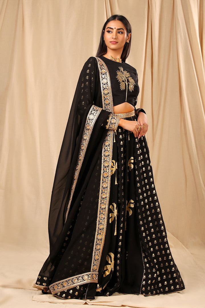 Black Coco Lehenga Set