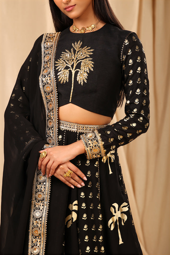 Black Coco Lehenga Set