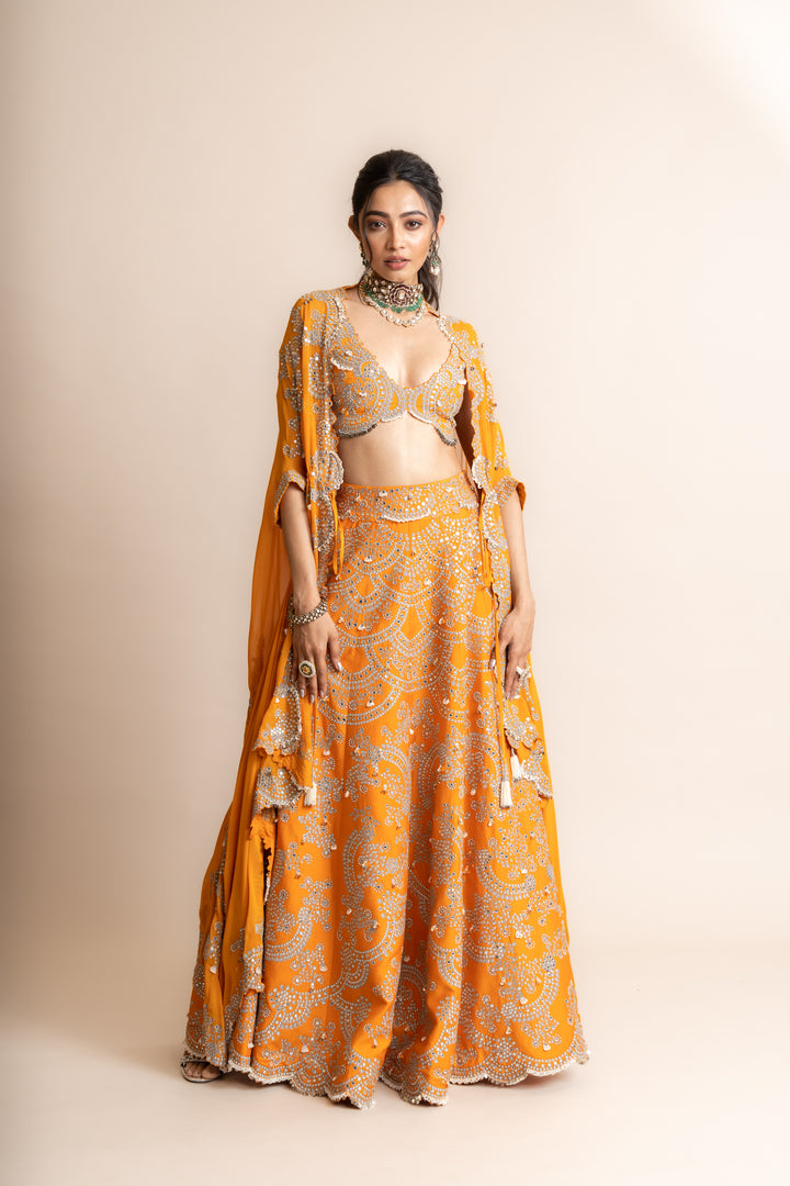 Embroidered Lehenga Set -1