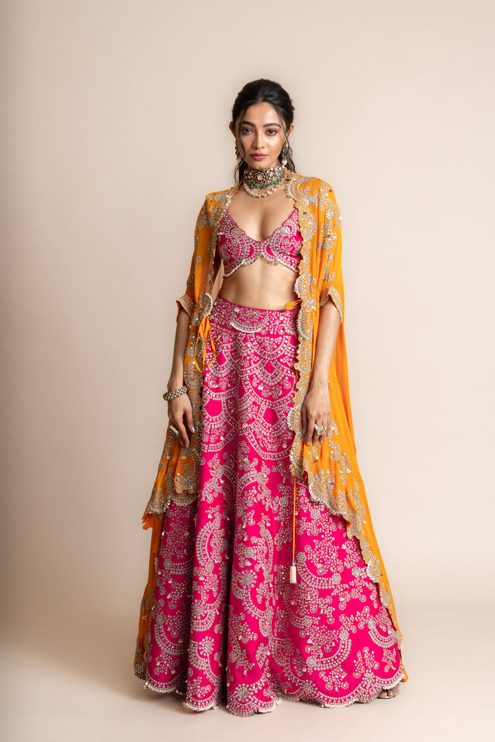 Embroidered Lehenga Set -2