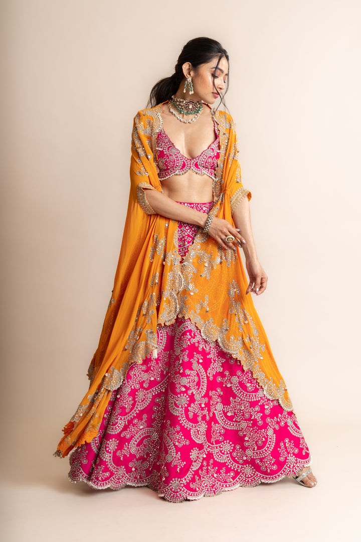 Embroidered Lehenga Set -2