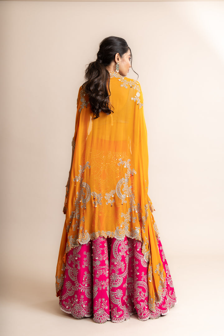 Embroidered Lehenga Set -2