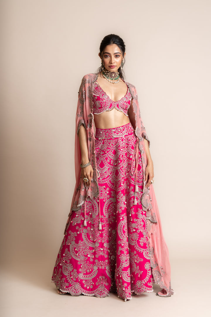 Embroidered Lehenga Set -3