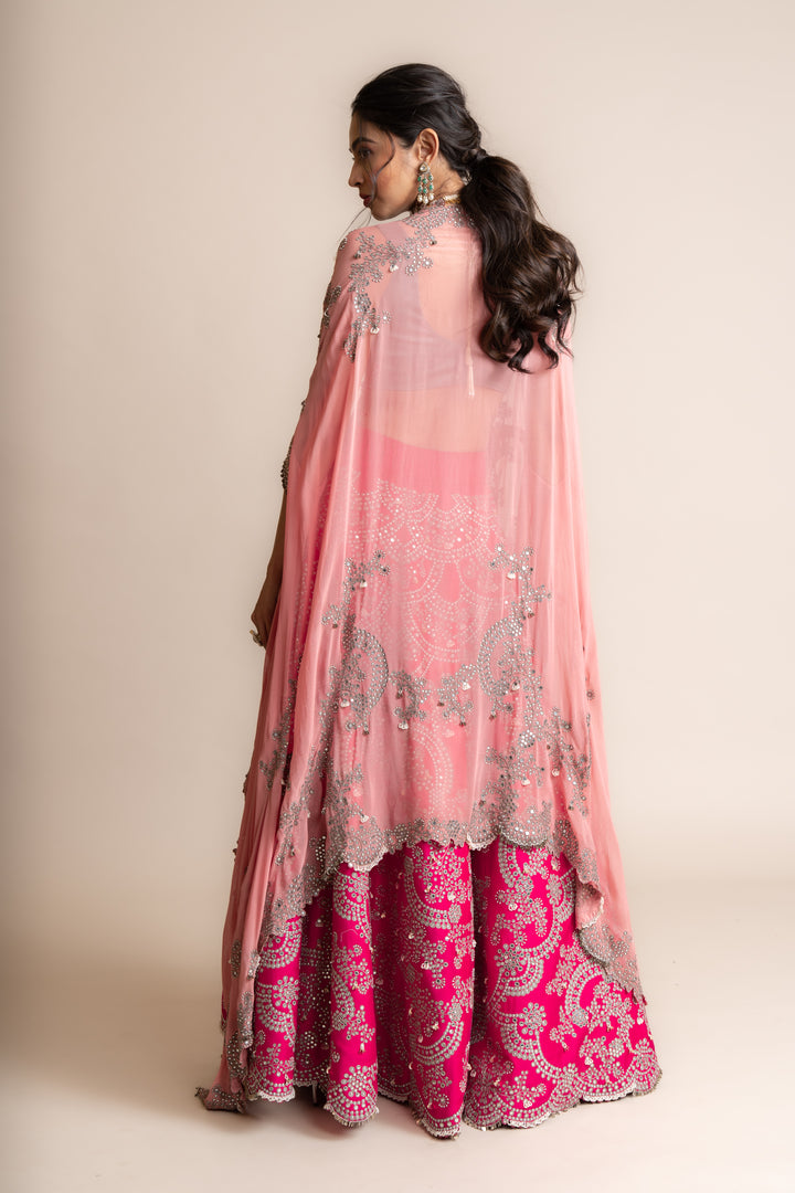 Embroidered Lehenga Set -3