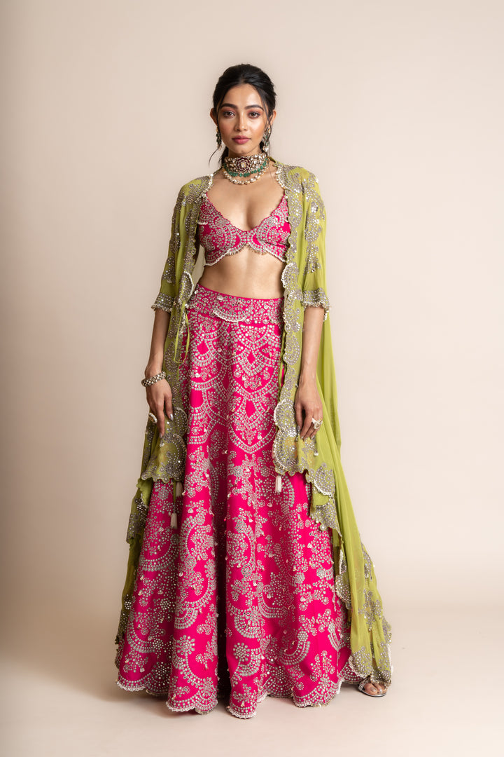 Embroidered Lehenga Set -4