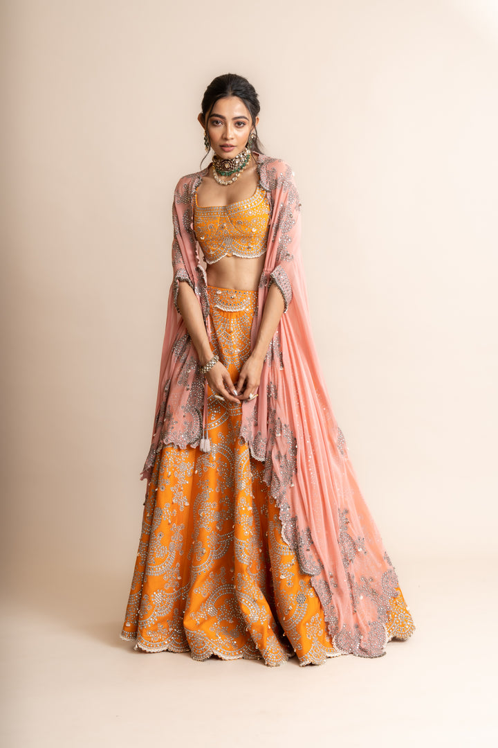 Embroidered Lehenga Set -6