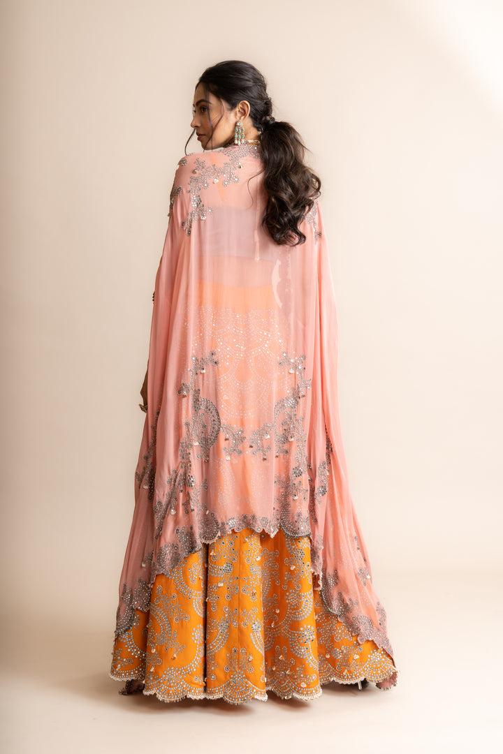 Embroidered Lehenga Set -6