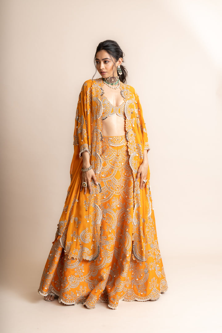 Embroidered Lehenga Set - 7