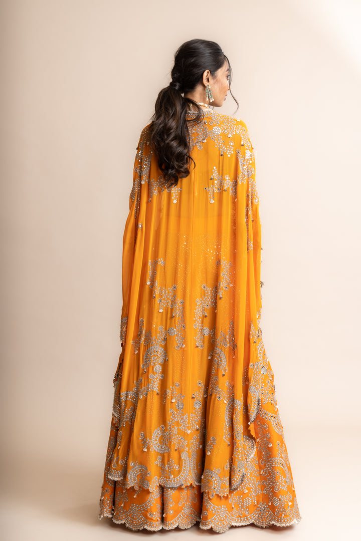 Embroidered Lehenga Set - 7