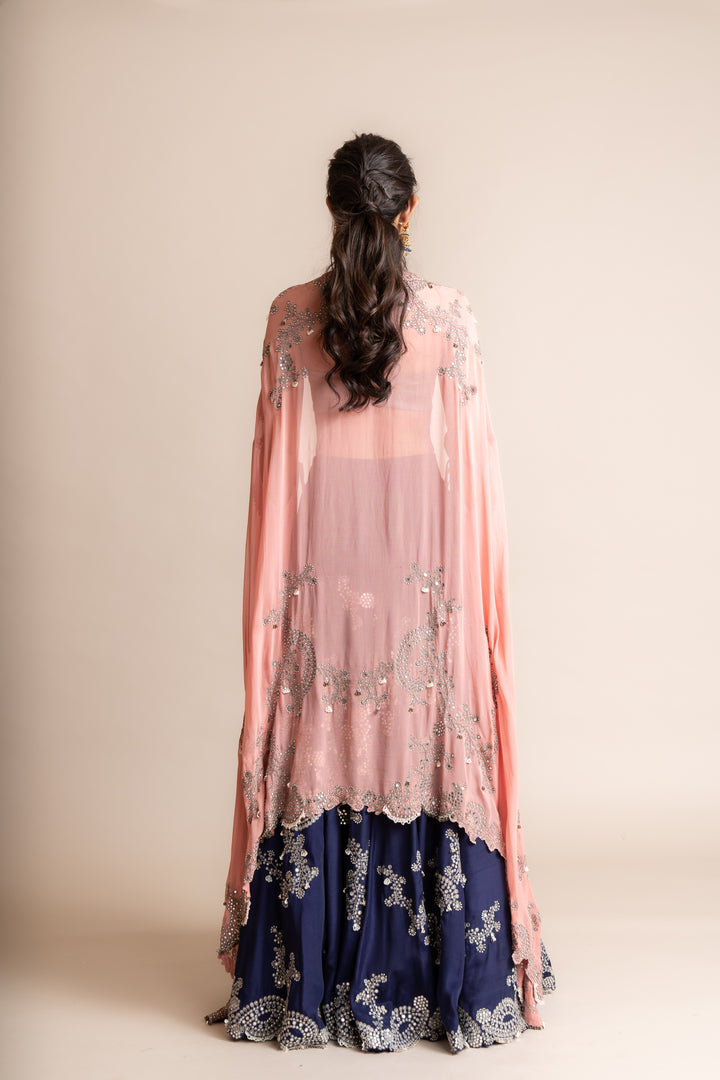 Embroidered Lehenga Set -8