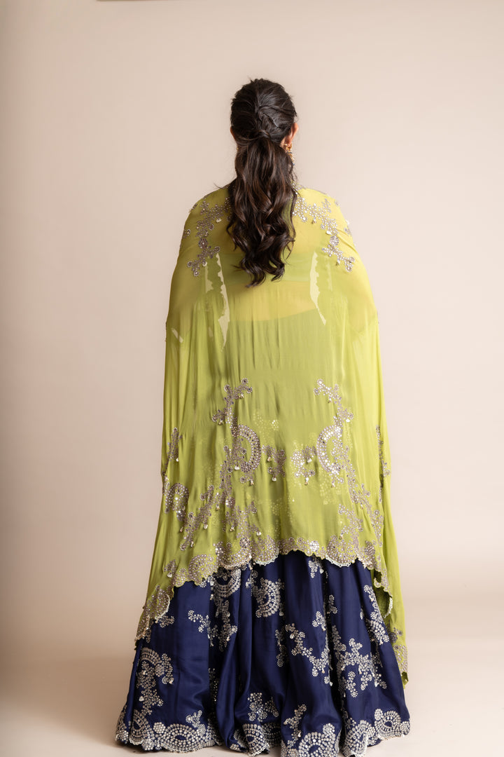 Embroidered Lehenga Set - 9