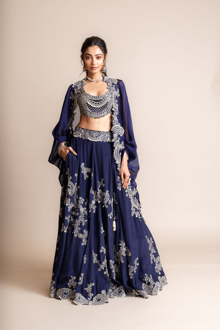 Embroidered Lehenga Set - 10