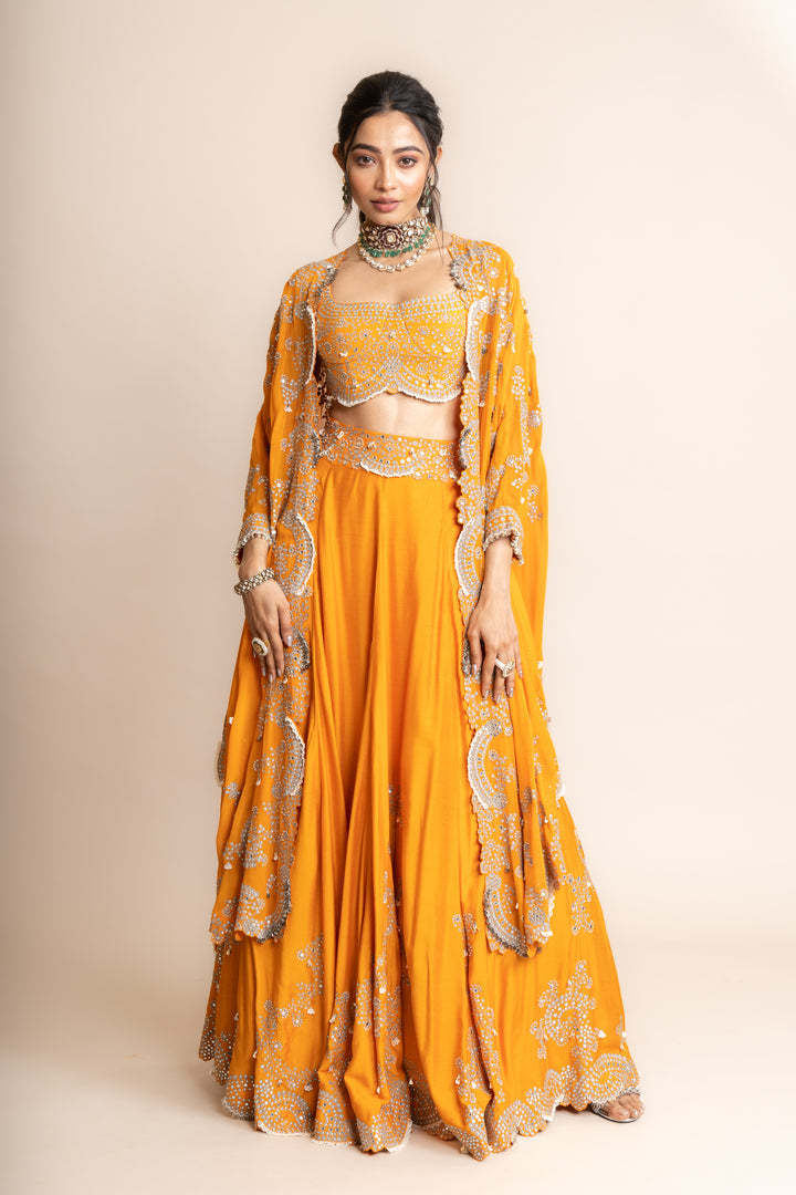 Embroidered Lehenga Set - 11