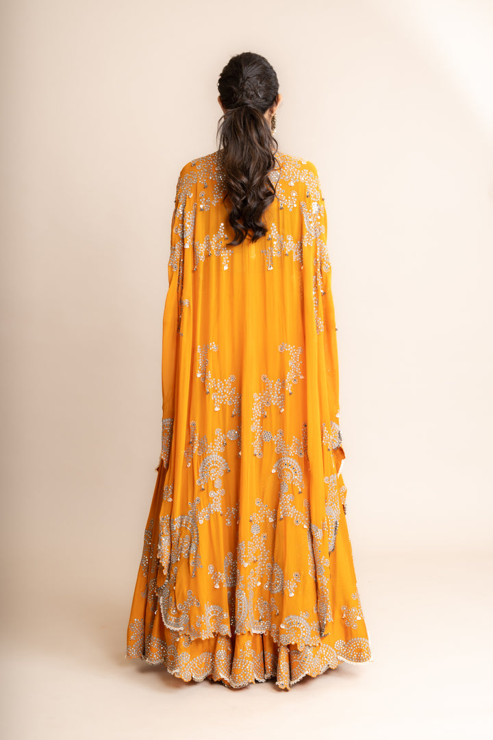 Embroidered Lehenga Set - 11