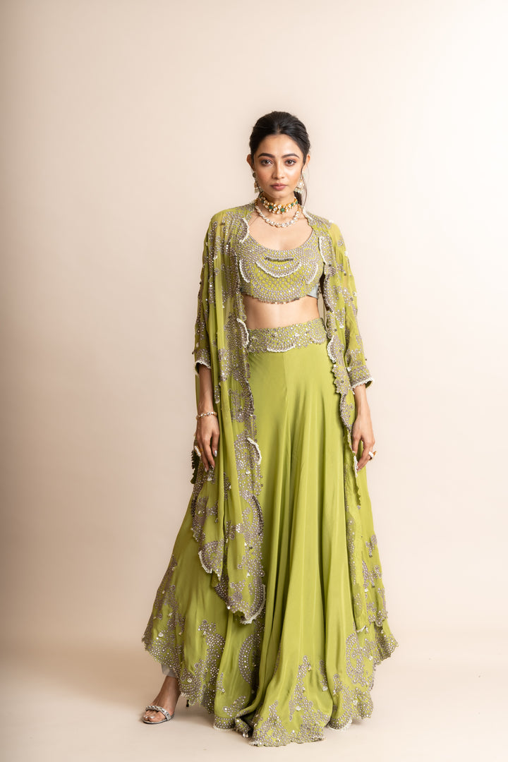 Embroidered Lehenga Set - 11
