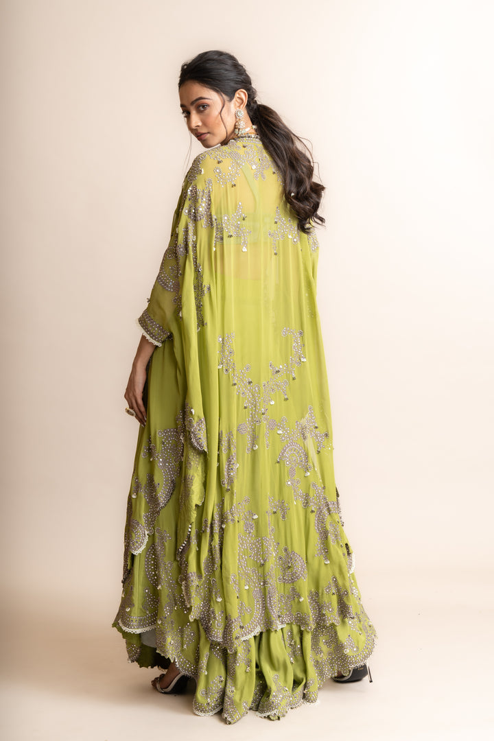 Embroidered Lehenga Set - 11