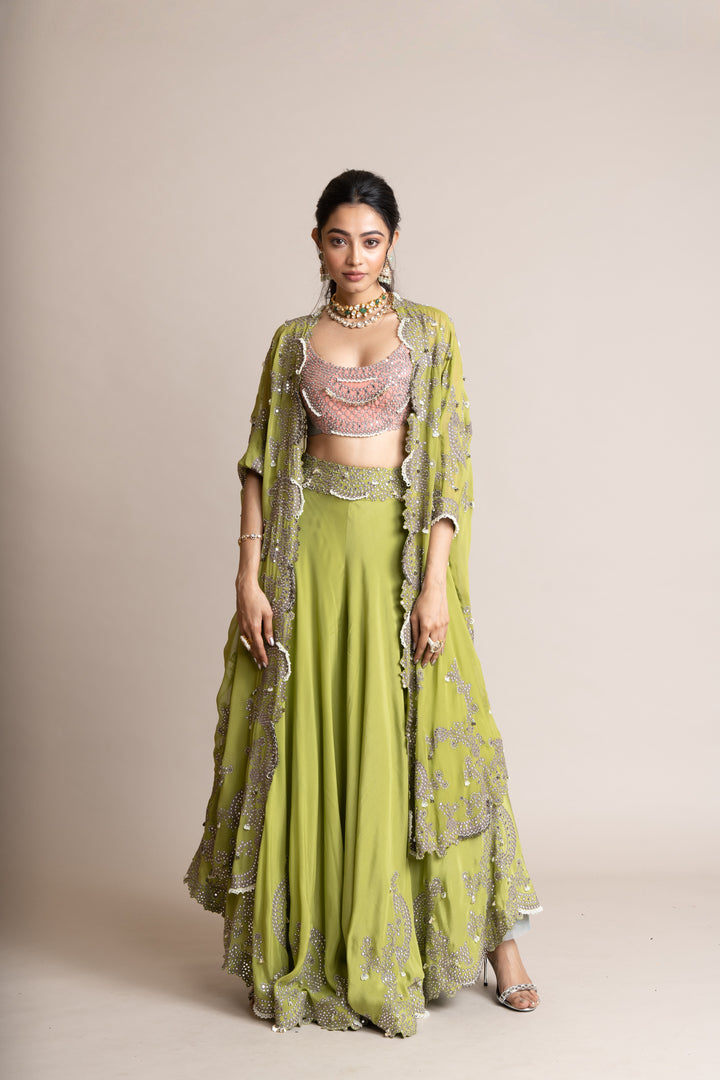 Embroidered Lehenga Set - 12