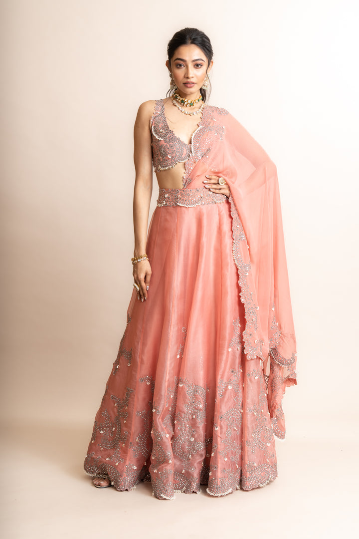 LEHENGA SARI SET