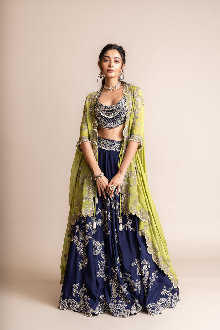 Embroidered Lehenga Set - 9