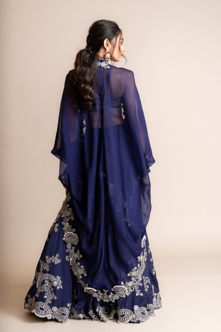 Embroidered Lehenga Set - 10